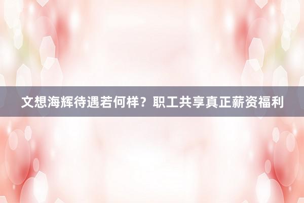 文想海辉待遇若何样？职工共享真正薪资福利