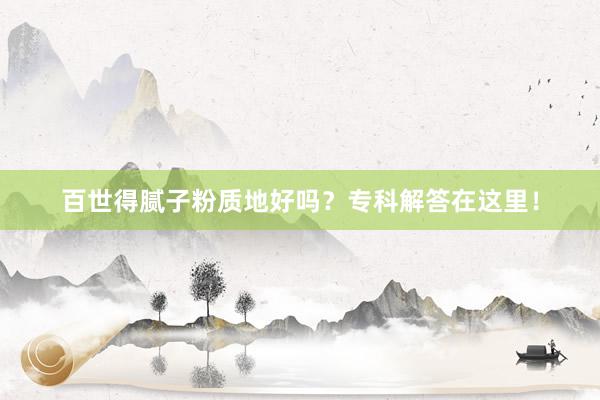 百世得腻子粉质地好吗？专科解答在这里！